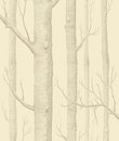 Фото Cole & Son The Contemporary 69-12148