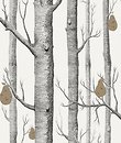 Фото Cole & Son The Contemporary 95-5027