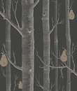 Фото Cole & Son The Contemporary 95-5031