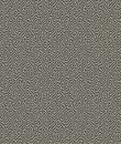 Фото Cole & Son Curio 107-4017