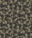 Фото Cole & Son Curio 107-5026