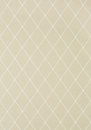 Фото Thibaut Chestnut Hill T72638
