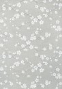 Фото Thibaut Dynasty T75515