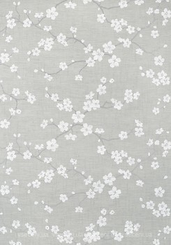 Фото Thibaut Dynasty T75515