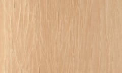 Фото Arte Noctis 38005