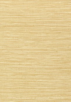 Фото Thibaut Faux Resource T75115