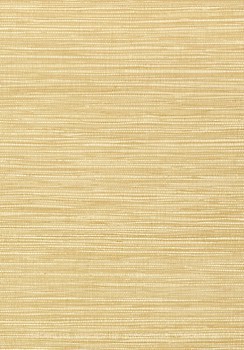 Фото Thibaut Faux Resource T75115