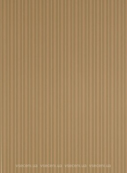 Фото Thibaut Menswear Resource T1014