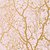 Фото Thibaut Natural Resource T7064