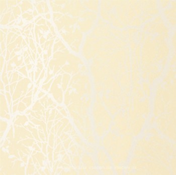 Фото Thibaut Natural Resource T7067