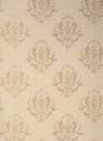 Фото Thibaut Neutral Resource T10038