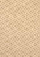 Фото Thibaut Neutral Resource T10065