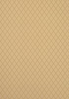 Фото Thibaut Neutral Resource T10066