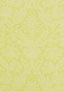 Фото Thibaut Richmond T4113