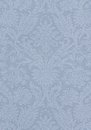Фото Thibaut Richmond T4114
