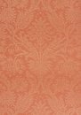 Фото Thibaut Richmond T4109
