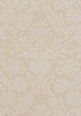Фото Thibaut Richmond T4112