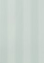 Фото Thibaut Richmond T4120