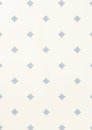 Фото Thibaut Richmond T4164