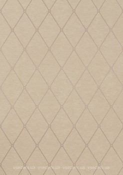 Фото Thibaut Richmond T4172