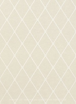Фото Thibaut Richmond T4173