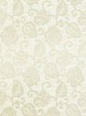 Фото Thibaut Richmond T4178