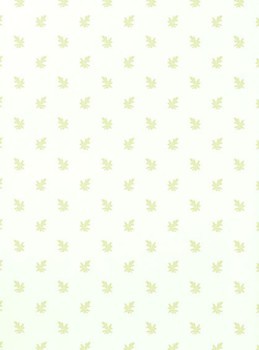 Фото Thibaut Richmond T4181