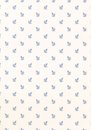 Фото Thibaut Richmond T4182