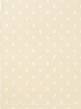 Фото Thibaut Richmond T4183