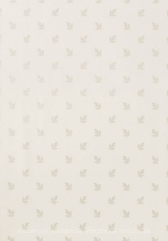 Фото Thibaut Richmond T4184