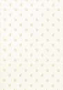 Фото Thibaut Richmond T4185