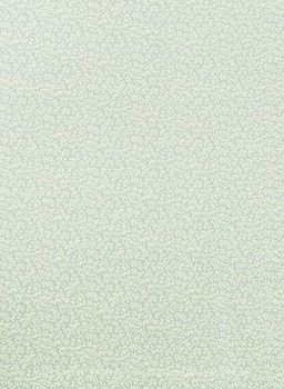 Фото Thibaut Richmond T4188