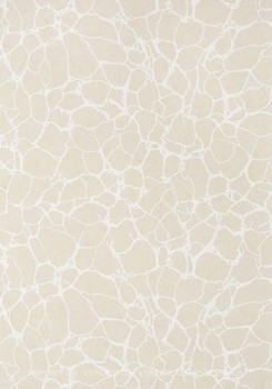 Фото Thibaut Surface Resource T4014