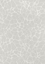 Фото Thibaut Surface Resource T4015