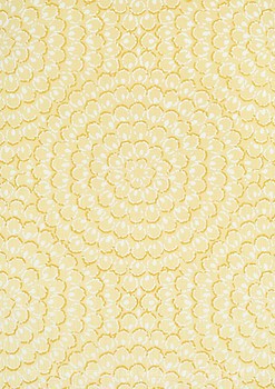 Фото Thibaut Surface Resource T4032