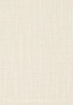 Фото Thibaut Surface Resource T4056