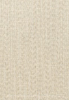 Фото Thibaut Surface Resource T4061