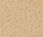 Фото Thibaut Texture Resource 3 T6828