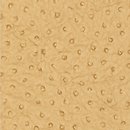 Фото Thibaut Texture Resource 3 T6829