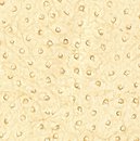 Фото Thibaut Texture Resource 3 T6830
