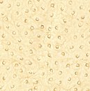 Фото Thibaut Texture Resource 3 T6830