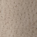 Фото Thibaut Texture Resource 3 T6831