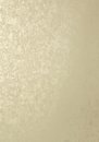 Фото Thibaut Texture Resource 5 T57165