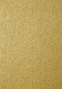 Фото Thibaut Texture Resource 5 T57170