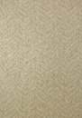 Фото Thibaut Texture Resource 5 T57171