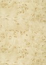 Фото Thibaut Texture Resource 6 T270