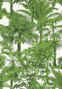 Фото Thibaut Tropics T10103