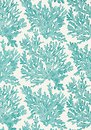 Фото Thibaut Tropics T10121