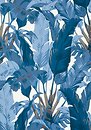 Фото Thibaut Tropics T10126