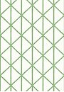 Фото Thibaut Tropics T10138